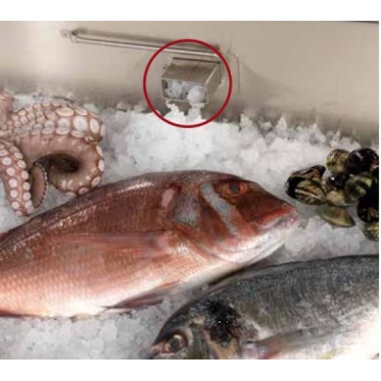 Scaiola Restaurant Fish Display Counter w/ Granular Ice Maker 